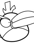 Angry Birds omalovánky pro děti k vytisknutí