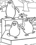 Tučňáci omalovánky pro kluky